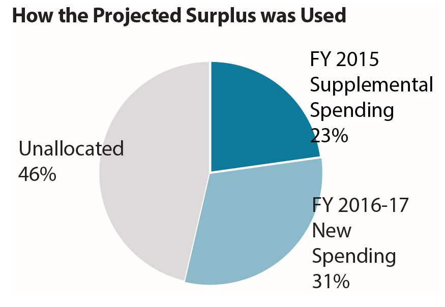 Pie chart How the projected surplus was used