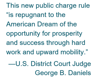 public charge district court quote